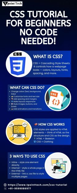 CSS Tutorial for Beginners: No Code Needed!