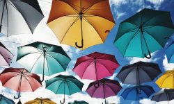 Trustworthy Umbrella Manufacturing Company in Delhi