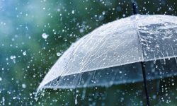 Known Promotional Umbrella Manufacturers in Delhi