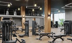Reasonable Commercial gym setup cost in India