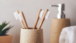 Reputed hotel toothbrush manufacturer in India