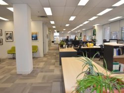 Commercial tenant representation