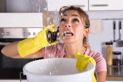 What Should You Do Immediately After Water Damage Occurs?