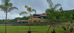 Enhance Your Space with Long-Lasting Synthetic Thatch Roof
