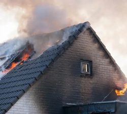 Signs You Need Emergency Sewage Cleanup Services