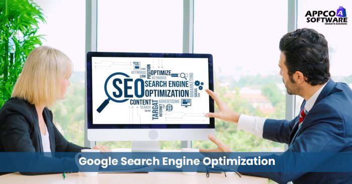 Professional Search Engine Optimization Company