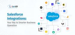 Boost Business Efficiency with Salesforce API Integration Services
