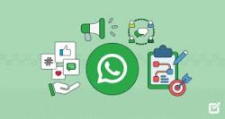 Partner with a Trusted WhatsApp Marketing Company for Growth