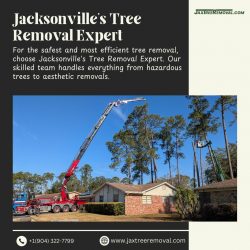 Jacksonville’s Tree Removal Expert