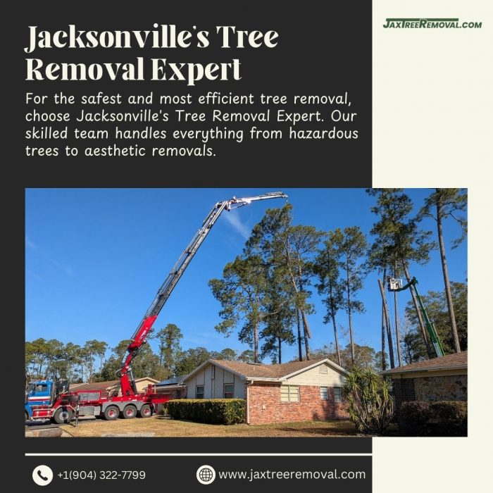 Jacksonville’s Tree Removal Expert