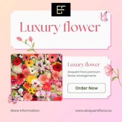 Luxury Flower Arrangements – Elegant Floral Gifts | Eloquent Flora