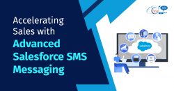 Top Salesforce Zalo Integration for Easy Customer Chat
