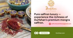 Buy Saffron Online – Premium Kashmiri Mogra