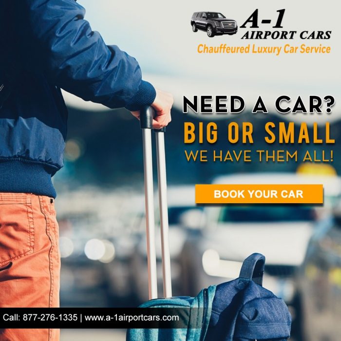 DTW Limo Service for Business and VIP Travel