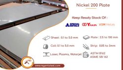 Nickel 200 Plate