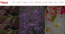 Natural Shampoo Fragrance & Attar Perfume Manufacturers