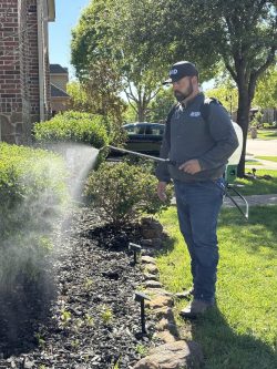 Pest Control Melissa Experts – Avid Pest Solutions