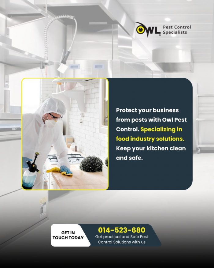 Pest Control Solutions from Owl Pest Control Ltd