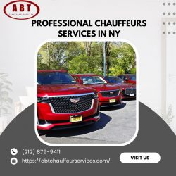 Professional Chauffeurs Services In Ny