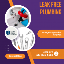 Local emergency plumber Kingston experts with rapid response