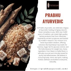 Best Ayurvedic Treatment for Premature Ejaculation