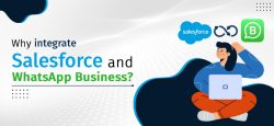 Best WhatsApp Integration for Salesforce Use 360 SMS App