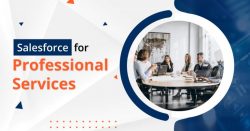Maximize Efficiency with Salesforce for Professional Services Firms
