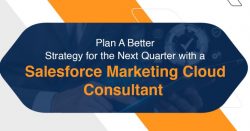 Grow Your Business with a Salesforce Marketing Cloud Consultant