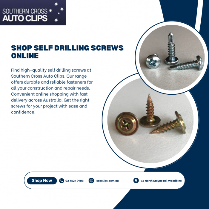 Shop Self Drilling Screws Online – Southern Cross Auto Clips