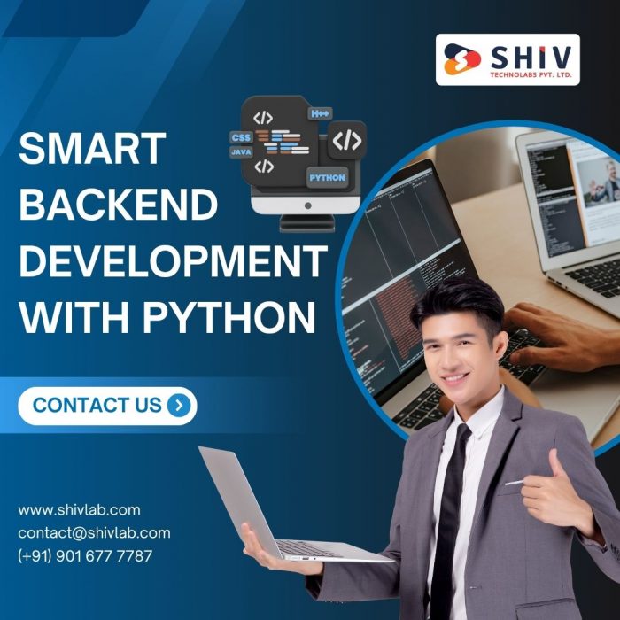 Affordable Python Development Services by Shiv Technolabs
