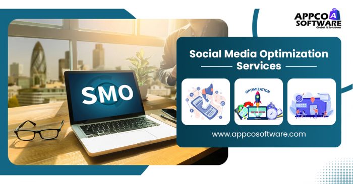Professional Social Media Optimization and Marketing Services