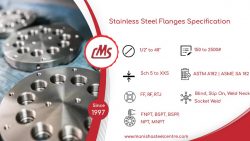 Duplex Flanges