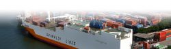 Trusted Container Carrier Companies for Reliable Cargo Container Shipping