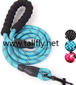 Dog Leash Manufacturer Meets Rising Outdoor Pet Activity Gear Demand