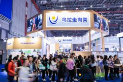 Maximize Your Impact with Stunning Trade Show Exhibition Stands