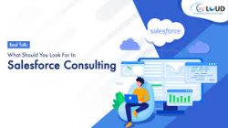 Best Salesforce Consulting Service in USA for Business Growth