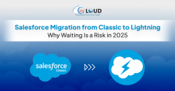 Best Classic to Lightning Migration Service in USA for Salesforce