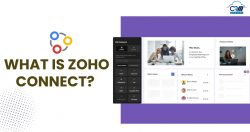 Empower Seamless Team Collaboration with Zoho CRM Consulting