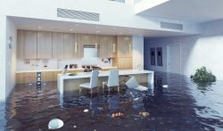 What to Do in a Water Damage Emergency