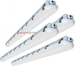 Cigelighting Grows Tomorrow: Vital Tri-proof Fixture for Smart Farms