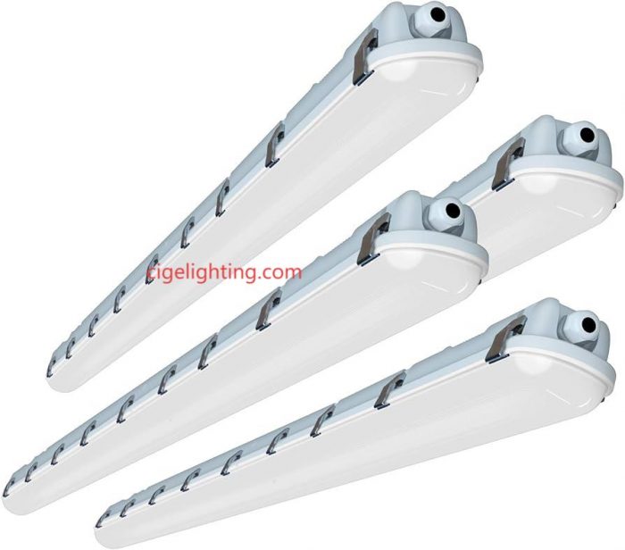 Cigelighting Grows Tomorrow: Vital Tri-proof Fixture for Smart Farms