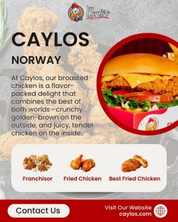 Discover the Best Chicken Burgers and Fried Chicken at Caylo’s | Caylos.com