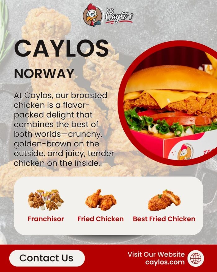Discover the Best Chicken Burgers and Fried Chicken at Caylo’s | Caylos.com