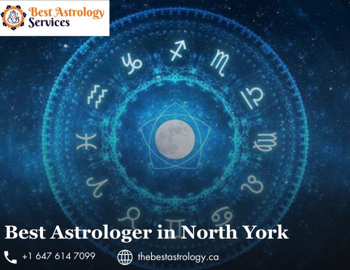 Best Astrologist in North York: Exact Guidance for Life Questions