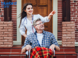 Trusted Home Companion Care for Seniors in Barnet