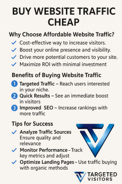 Buy Website Traffic Cheap with Targeted Visitors