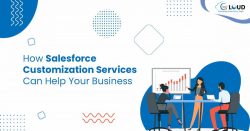 Top Guide to Salesforce Customization in USA