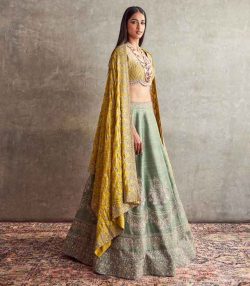 From Runway to Reality: The Rise of Elegant Cape Lehengas