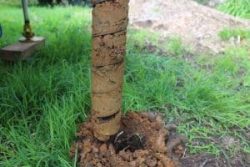 Trusted Soil Insights for Smarter Land Use Decisions