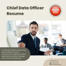 Chief Data Officer Resume